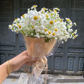 Bó Hoa Baby Cúc Tana Nhỏ Xinh