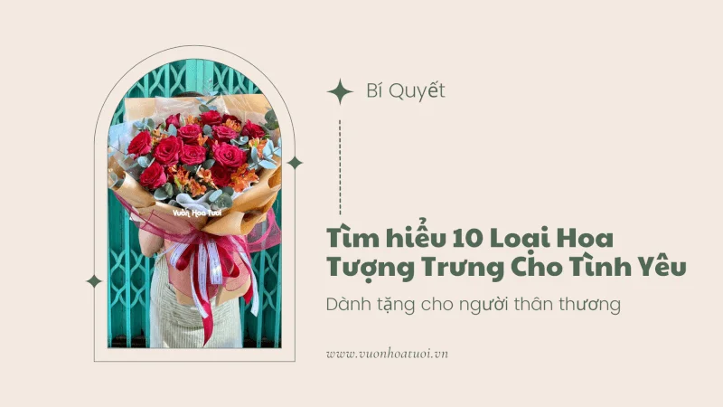 Loại Hoa Tượng Trưng Cho Tình Yêu