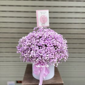 Hộp Hoa Baby Tím Say Đắm