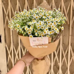Bó hoa cúc tana sinh nhật Lovely