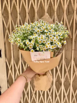 Bó hoa cúc tana sinh nhật Lovely