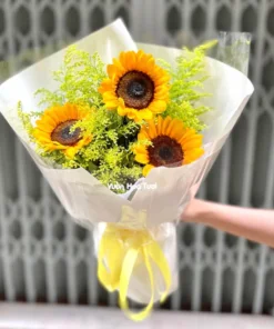 Bó Hoa Hướng Dương Tốt Nghiệp Hoàng Anh