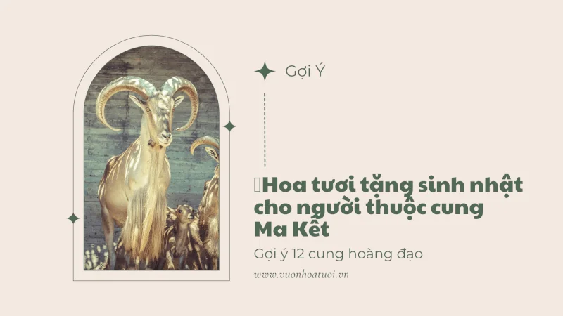 Hoa Tượi Tặng Cung Ma Kết