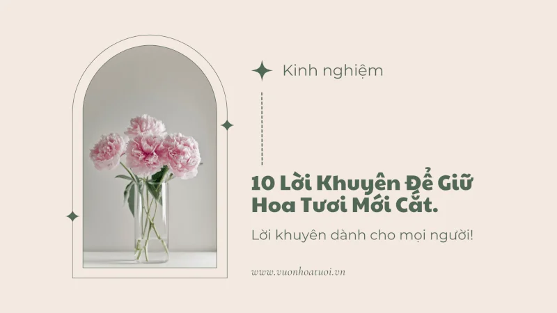 10 Lời Khuyên Để Giữ Hoa Tươi Mới Cắt