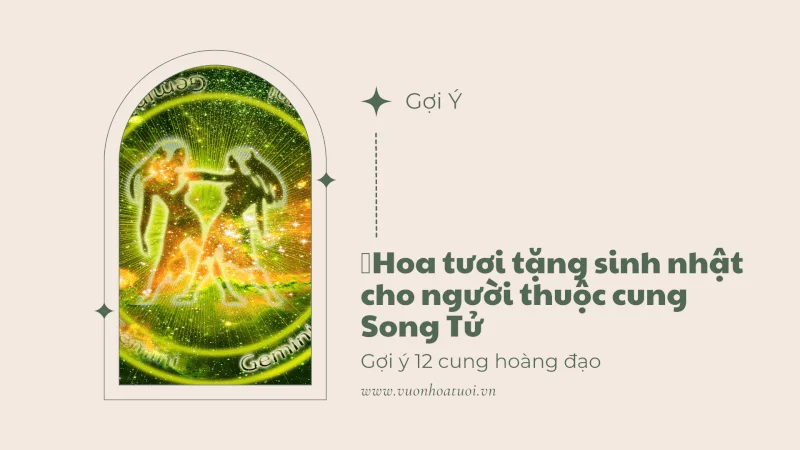 Hoa tươi tặng cung song tử
