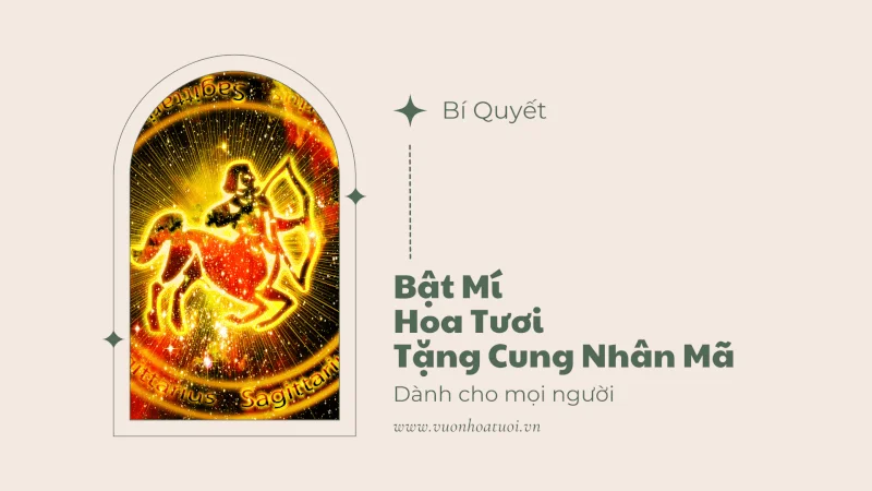 Bật Mí Hoa Tươi Tặng Cung Nhân Mã