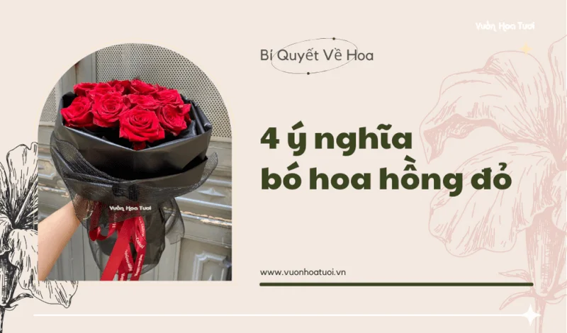 4 ý nghĩa bó hoa hồng đỏ để tặng người thương