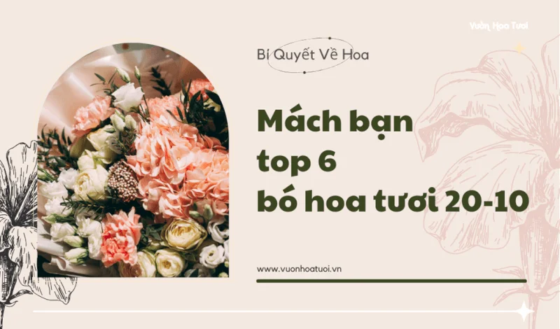 Mách bạn top 6 mẫu hoa tươi 20-10 dành tặng người thương