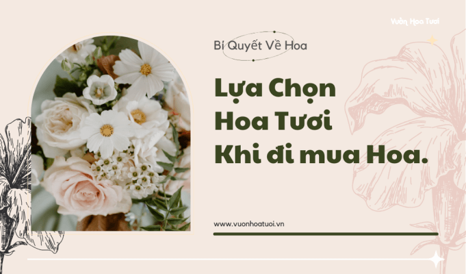 Bật mí lựa chọn shop hoa tươi quận 5