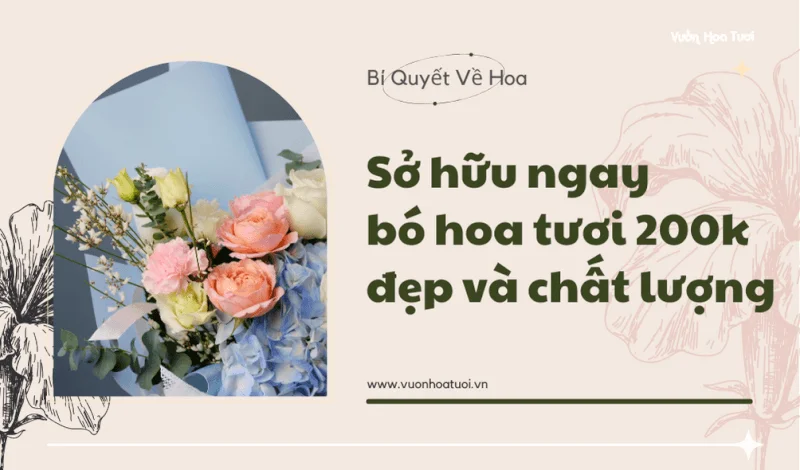bó hoa tươi 200k đẹp