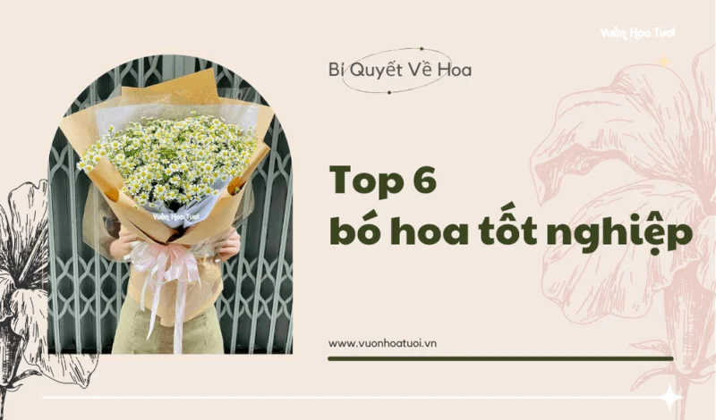 Top 6 bó hoa tốt nghiệp