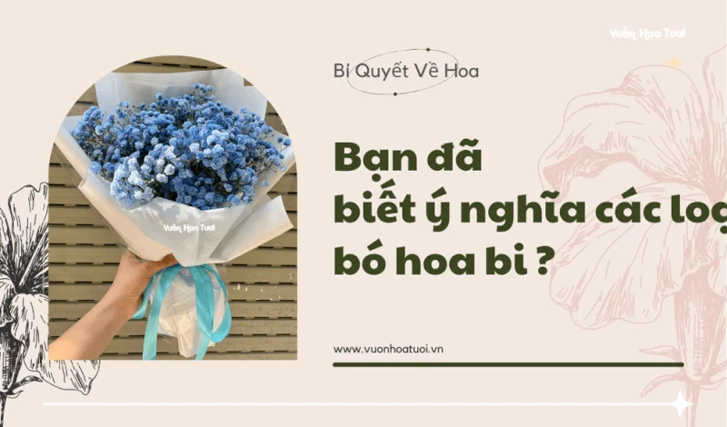 Bạn đã biết ý nghĩa các loại bó hoa bi chưa?