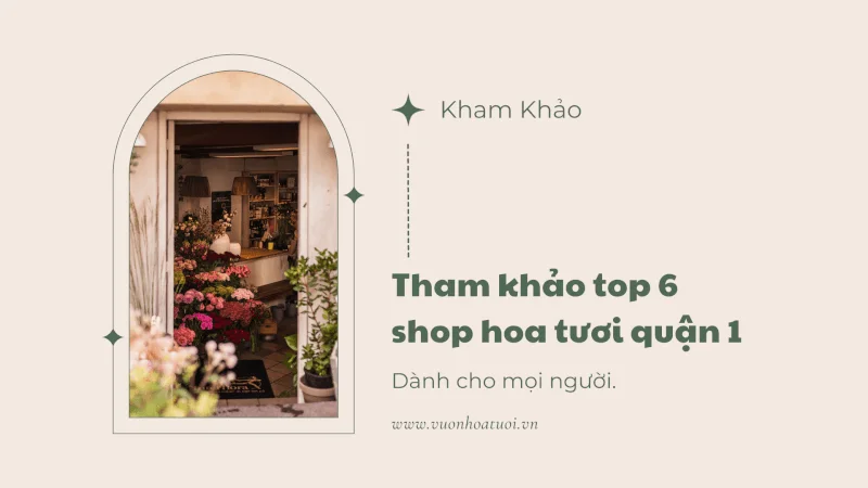 shop opening celebration 2 2