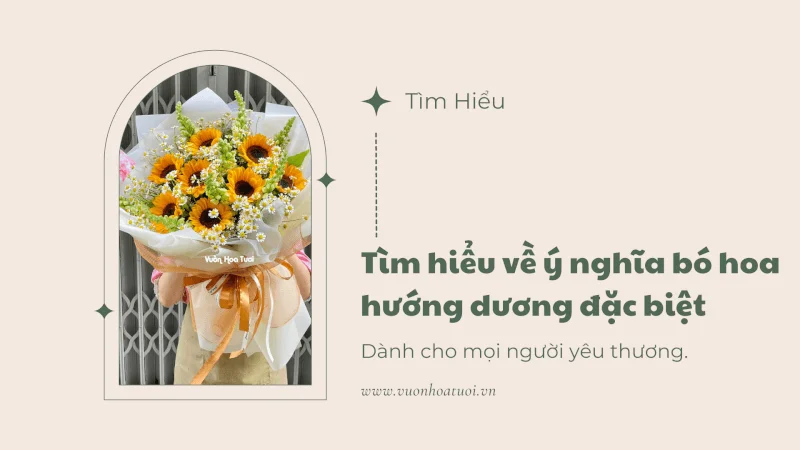 Ý Nghĩa Bó Hoa Hướng Dương