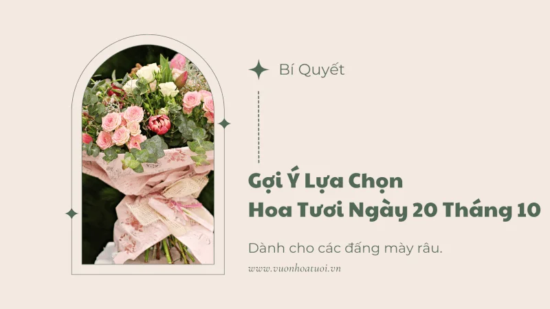 Gợi Ý Lựa Chọn Hoa Tươi Ngày 20 Tháng 10