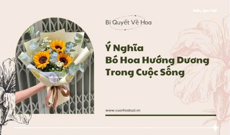Ý nghĩa của hoa hướng dương trong cuộc sống chúng ta