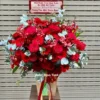 Lẵng Hoa Đồng Tiền Khai Trương Phối Hoa Hồng Đỏ Lẵng Hoa Đồng Tiền Khai Trương Phối Hoa Hồng Đỏ