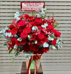 Lẵng Hoa Đồng Tiền Khai Trương Phối Hoa Hồng Đỏ