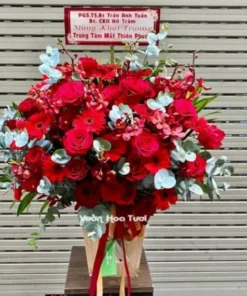 Lẵng Hoa Đồng Tiền Khai Trương Phối Hoa Hồng Đỏ