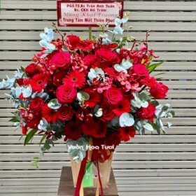 Lẵng Hoa Đồng Tiền Khai Trương Phối Hoa Hồng Đỏ