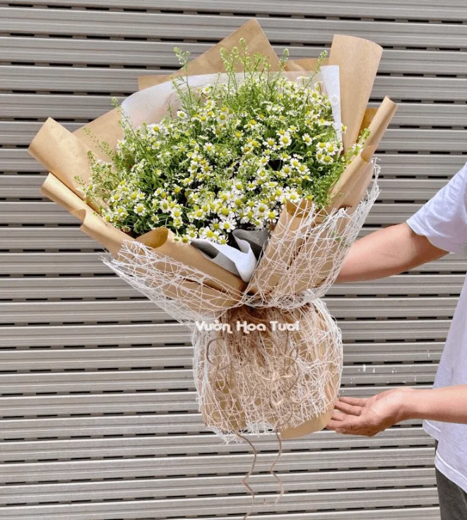 Tham khảo các giỏ hoa cúc Tana xinh xắn nhẹ nhàng Screenshot 2023 12 25 093150