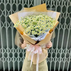 Bó Hoa Cúc Tana Que Kem Cổ Điển