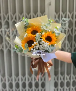 bó hoa hướng dương tốt nghiệp baby