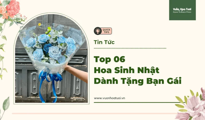 Top 06 Hoa Sinh Nhật Dành Tặng Bạn Gái