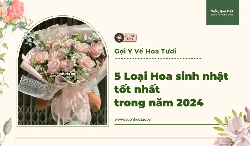 5 Loại Hoa sinh nhật tốt nhất trong năm 2024