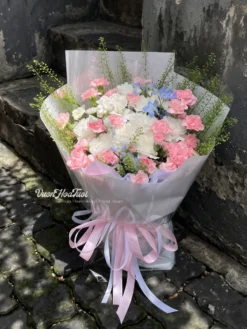 Cẩm Chướng White Windsy