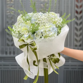 Bó hoa cẩm tú cầu Little Lamb Hydrangea