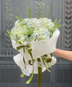 Bó hoa cẩm tú cầu Little Lamb Hydrangea