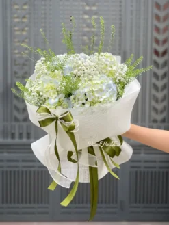 Bó hoa cẩm tú cầu Little Lamb Hydrangea