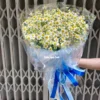 Bó hoa cúc tana tặng sinh nhật hàn quốc Bó hoa cúc tana tặng sinh nhật hàn quốc