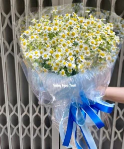 Bó hoa cúc tana tặng sinh nhật hàn quốc