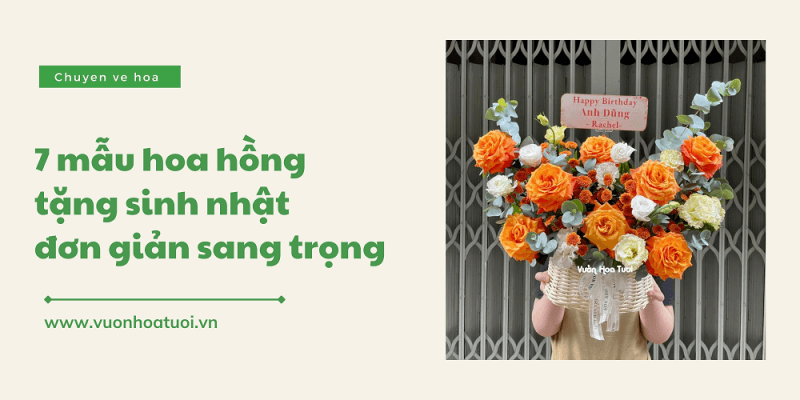 hoa hong tang sinh nhat 3