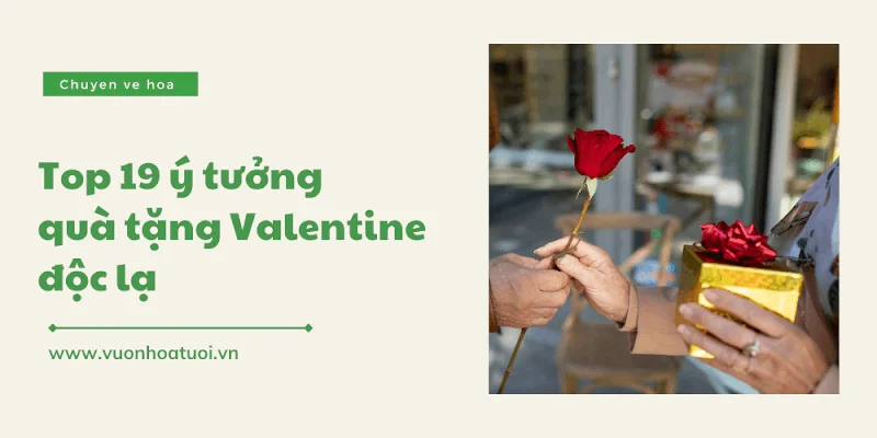 Top 19 ý tưởng quà tặng valentine độc lạ tham khảo ngay qua tang valentine png