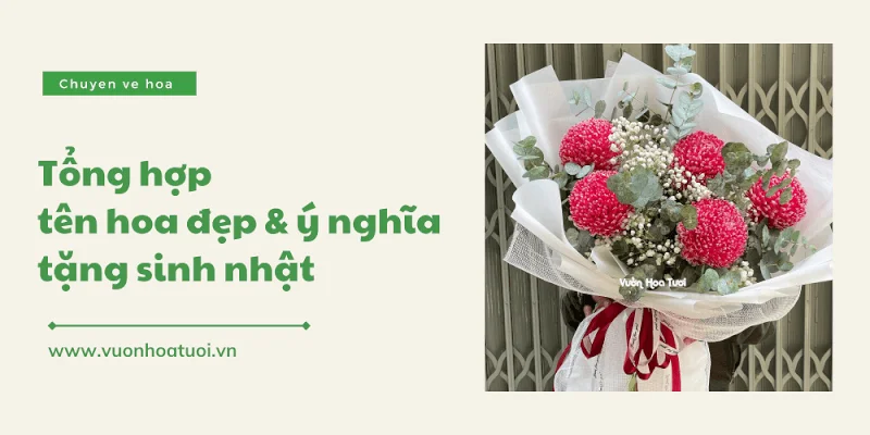 ten cac loai hoa dep va y nghia 7 1 png