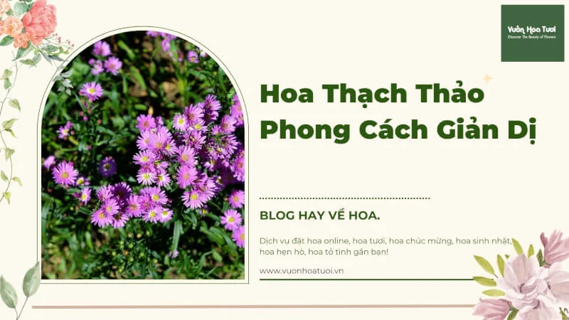 Hoa Thạch Thảo