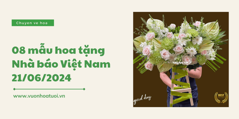 Bật mí 8 mẫu hoa tặng ngày Nhà Báo Việt Nam 2024 hoa tang ngay nha bao viet nam 1