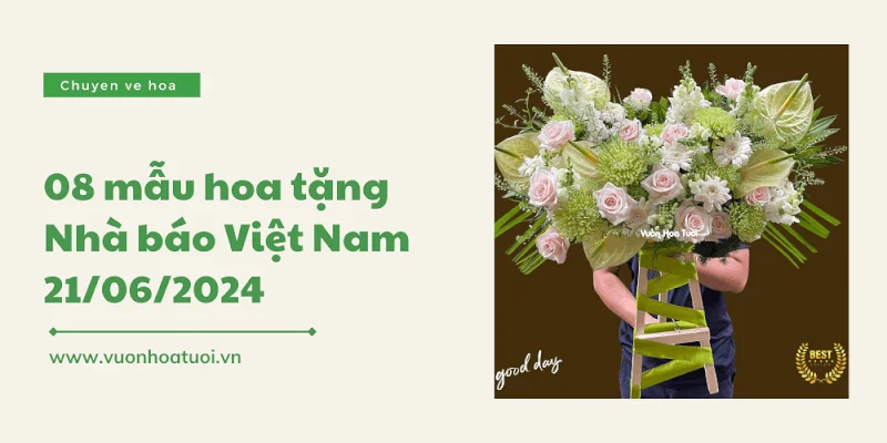 hoa tang ngay nha bao viet nam 1 png