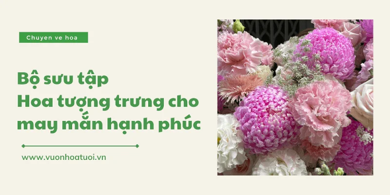 hoa tuong trung cho may man png