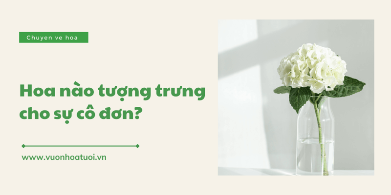 loai hoa tuong trung co don 1