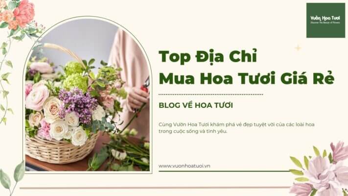 Địa Điểm Mua Hoa Tươi Giá Rẻ Uy Tín Tại Tphcm