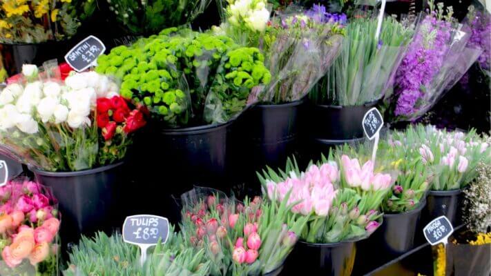 Top 05 Nơi Mua Hoa Tươi Giá Rẻ Uy Tín Tại Tphcm mua hoa tuoi gia re tphcm mua hoa tuoi gia re tphcm mua hoa tuoi gia re tphcm7