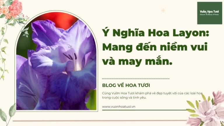 hình ảnh về ý nghĩa hoa layon