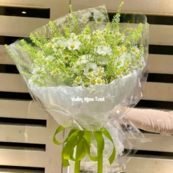 Mẫu hoa bó cúc tana phối cùng rosy