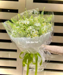 Mẫu hoa bó cúc tana phối cùng rosy