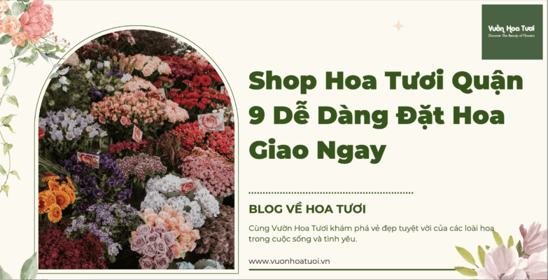 Shop Hoa Tươi Quận 9 Uy Tín Giao Hoa Tận Nơi Nhanh Chóng địa điểm đặt hoa quận 9 với nhiều shop hoa tươi