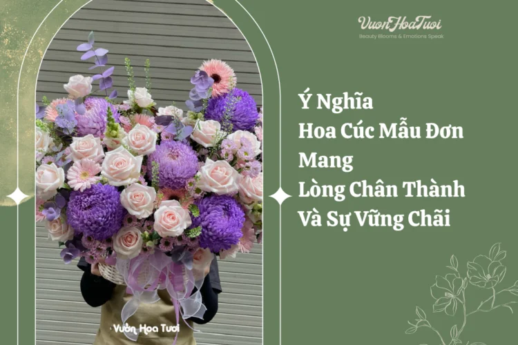 ý nghĩa hoa cúc mẫu đơn